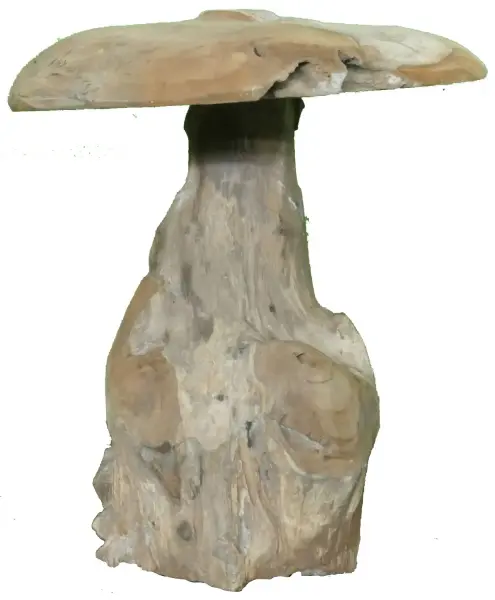 Artikelbild 1 des Artikels “Pilz, Höhe ca. 30 cm. Hergestellt aus Teakholz Wurzel (Plantage). Modell S ist 30cm Höhe und Durchmesser 30cm - 5 kg. “
